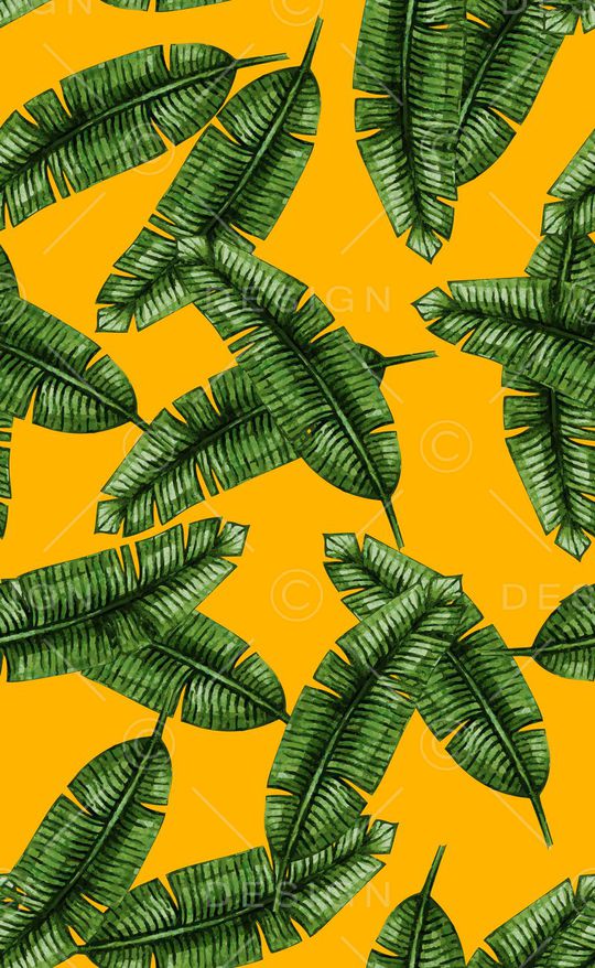 泳装印花华亿平台图片