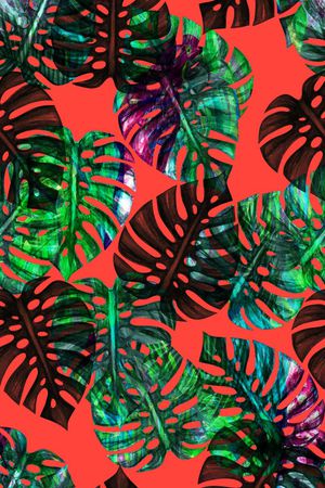 泳装印花华亿平台图片