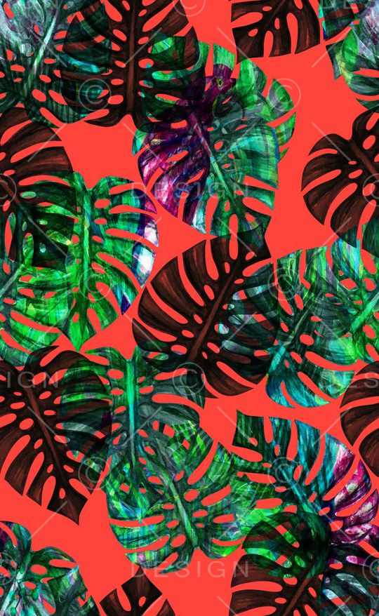 泳装印花华亿平台图片