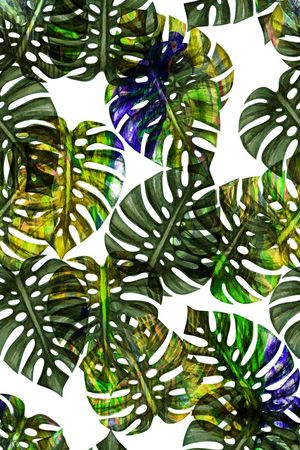 泳装印花华亿平台图片