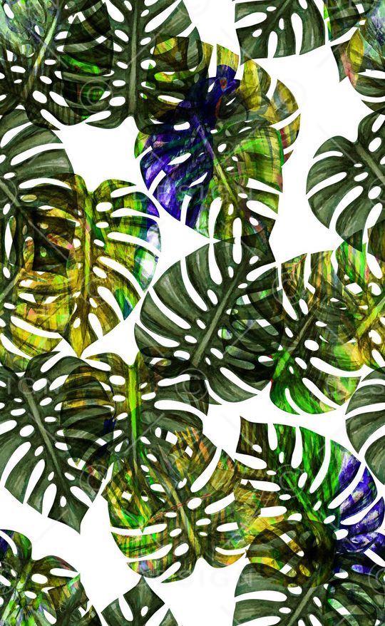 泳装印花华亿平台图片