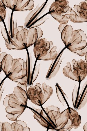 手绘淡雅花卉印花华亿平台图片