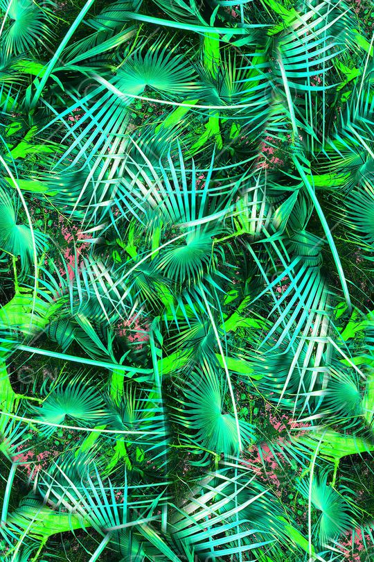 棕榈叶印花华亿平台图片