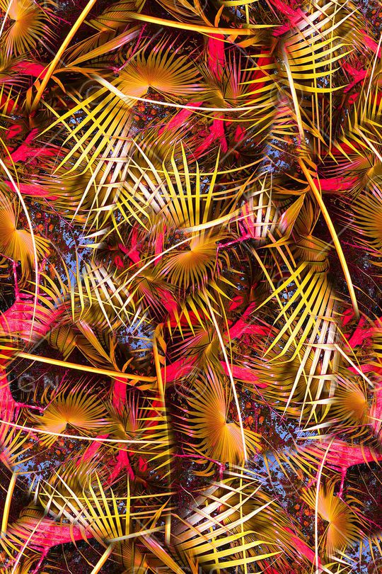 棕榈叶印花华亿平台图片