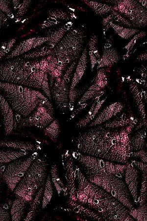 经络印花华亿平台图片