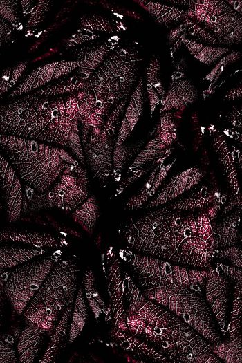 664045-FLZ-7-71.....