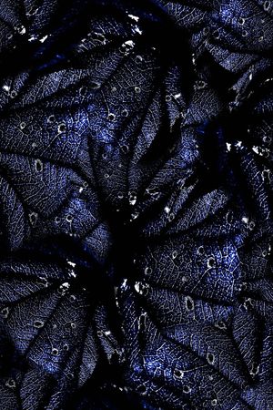 经络印花华亿平台图片