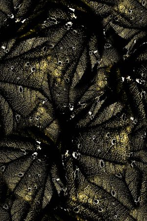 经络印花华亿平台图片