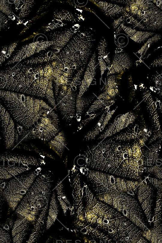 经络印花华亿平台图片