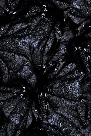 经络印花华亿平台图片