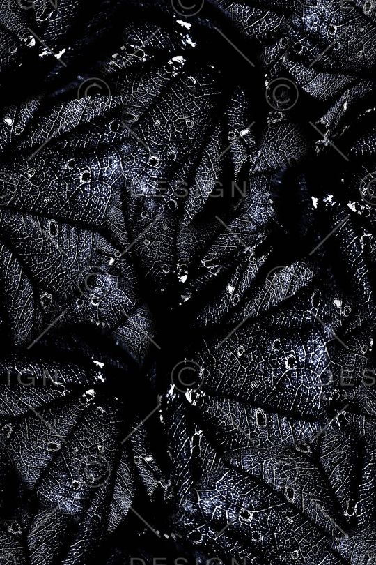 经络印花华亿平台图片