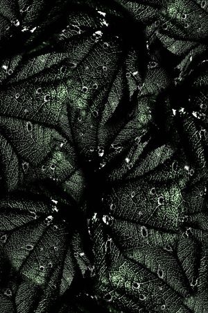 经络印花华亿平台图片