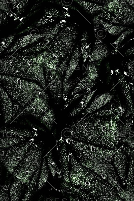 经络印花华亿平台图片