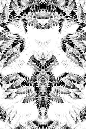 叶子印花华亿平台图片