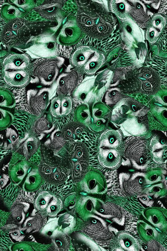 猫头鹰印花华亿平台图片