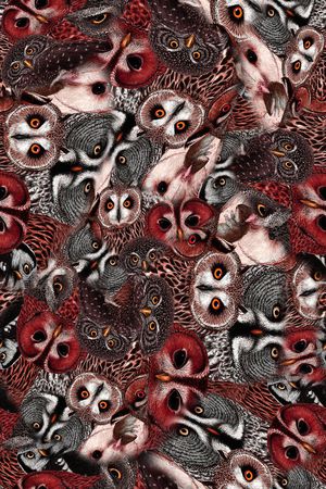 猫头鹰印花华亿平台图片