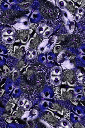 猫头鹰印花华亿平台图片