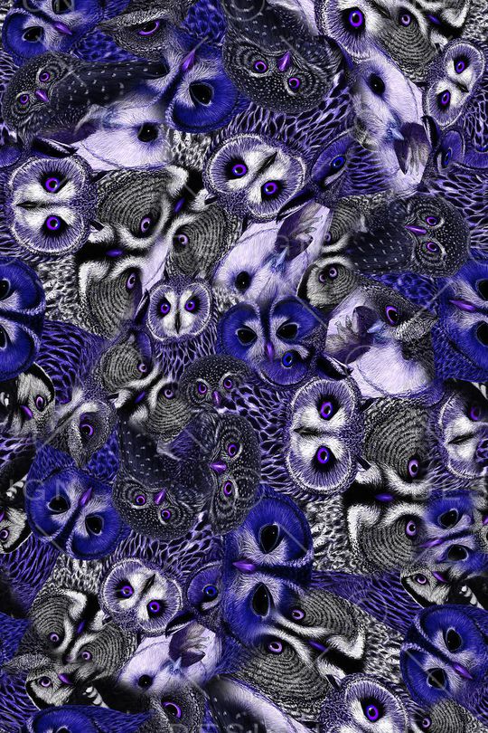 猫头鹰印花华亿平台图片