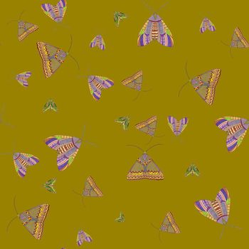 664129-民族飞蛾黄