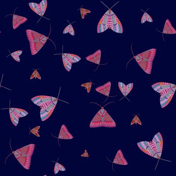 664130-民族飞蛾蓝