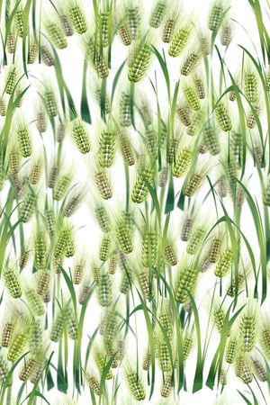 时尚印花华亿平台图片