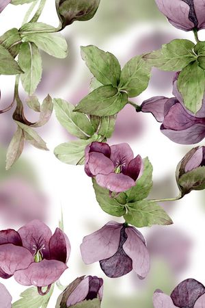 花瓣印花华亿平台图片