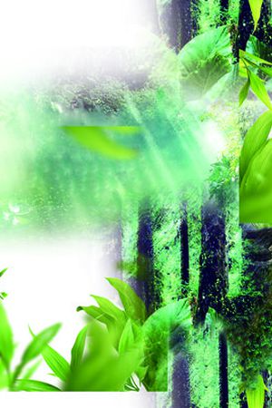 莫妮卡-女装华亿平台印花华亿平台图片