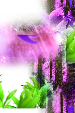 莫妮卡-女装华亿平台印花华亿平台图片