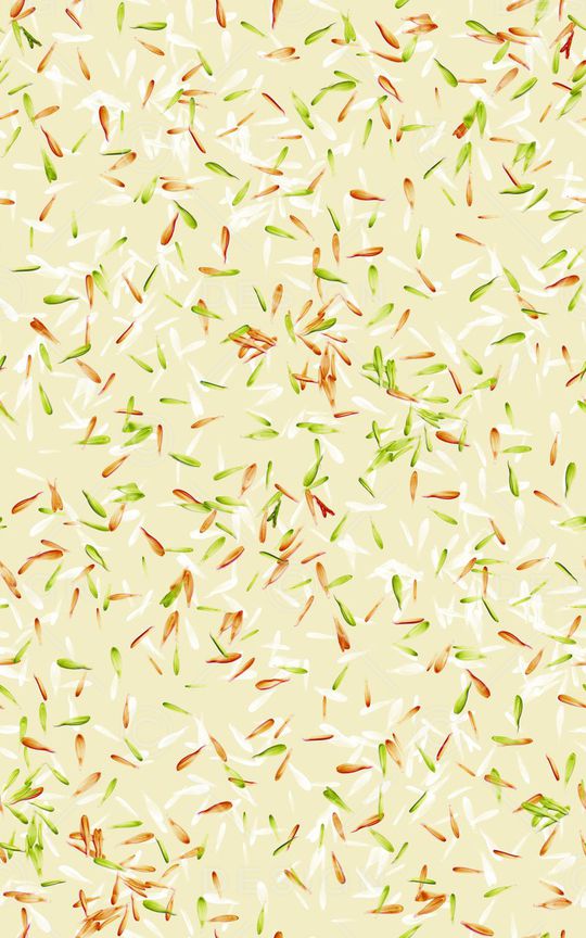 植物印花华亿平台图片