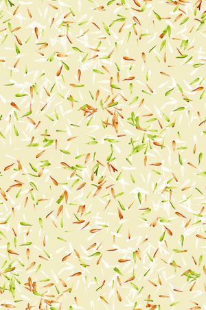 植物印花华亿平台图片