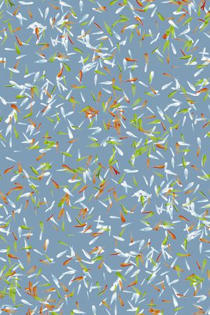 植物印花华亿平台图片