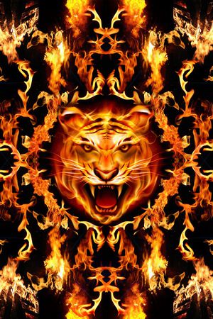 大牌印花华亿平台图片