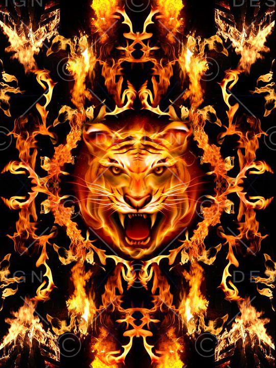 大牌印花华亿平台图片