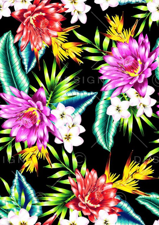 天堂鸟印花华亿平台图片