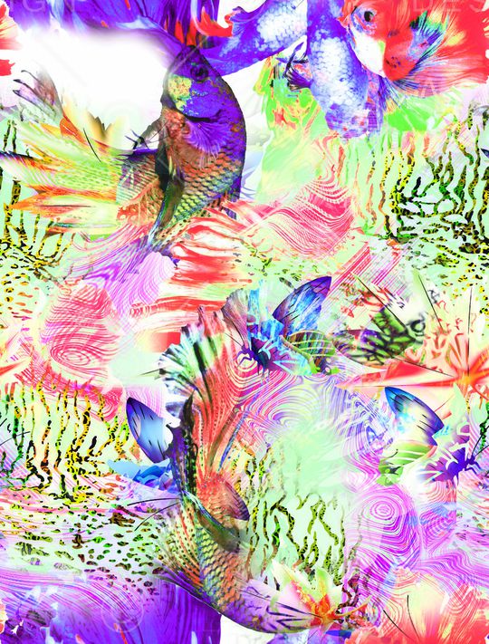 莫妮卡-女装华亿平台印花华亿平台图片