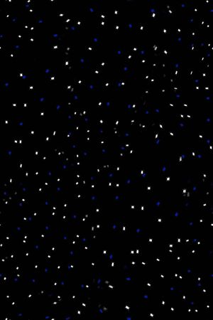 蟑螂印花华亿平台图片