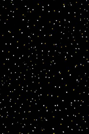 蟑螂印花华亿平台图片