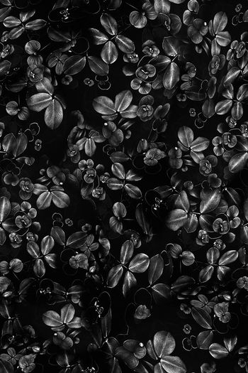 664642-FLZ-7-114....