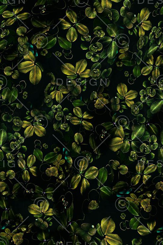 四叶草印花华亿平台图片