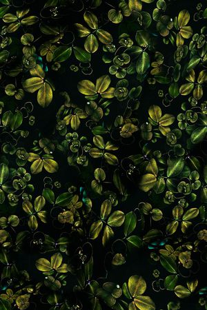 四叶草印花华亿平台图片