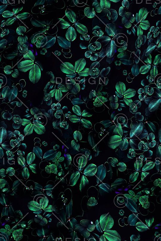 四叶草印花华亿平台图片