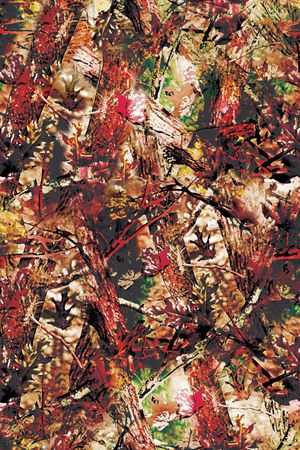 秋冬女装印花华亿平台图片