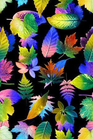 叶子印花华亿平台图片