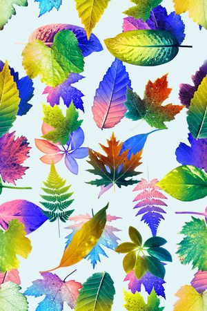 叶子印花华亿平台图片