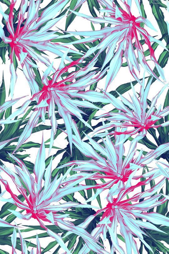 棕榈叶印花华亿平台图片