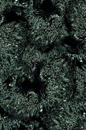 男装印花华亿平台图片