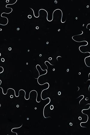 男装印花华亿平台图片