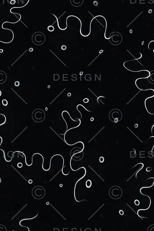 男装印花华亿平台图片