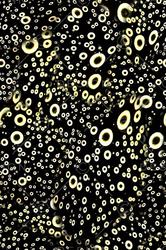 波点印花华亿平台图片