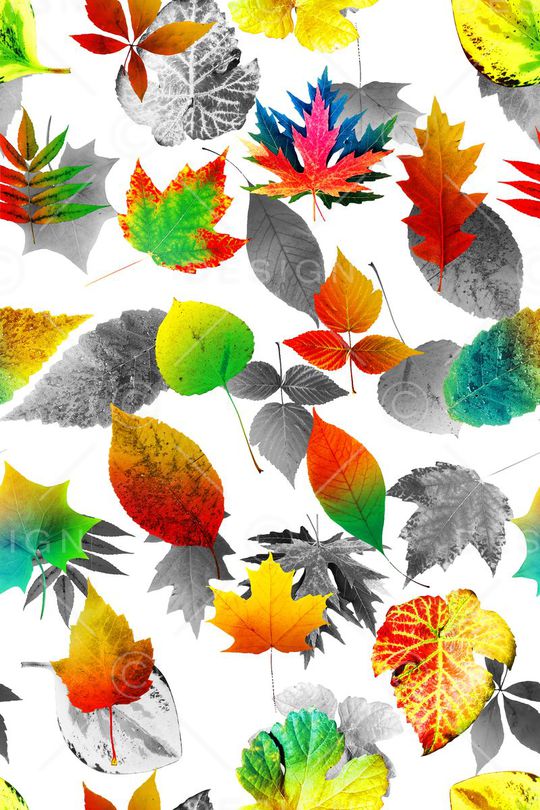 叶子印花华亿平台图片